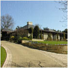 Violet Hill Garden